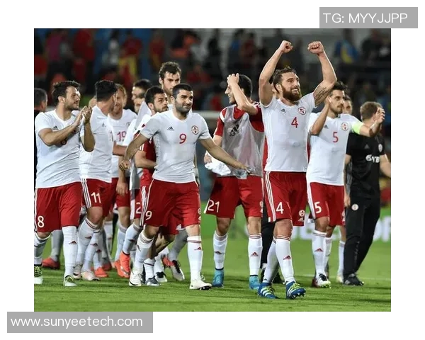 欧洲杯比赛激发球迷狂热，各国球队实力悬殊